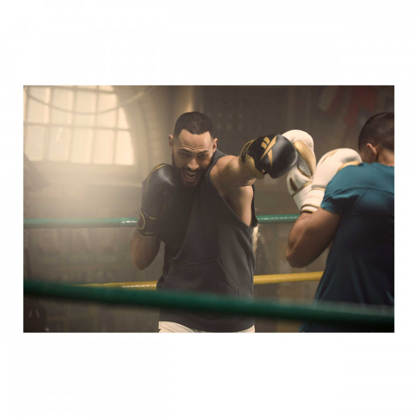 Reebok Boxhandschuhe 16oz Gold/Schwarz