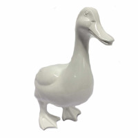 Ente weiß